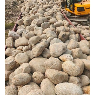 供应 园林绿化用鹅卵石 白色 黑色 抛光雨花石 公园造景铺路用